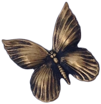 Butterfly, symbol of intuitive empath Eileen Strange