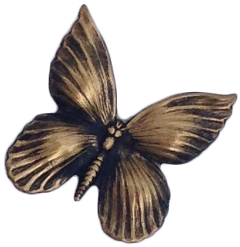 Butterfly, symbol of intuitive empath Eileen Strange