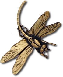 Dragonfly, symbol of psychic readings by intuitive empath Eileen Strange
