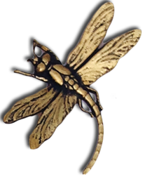 Dragonfly, symbol of psychic readings by intuitive empath Eileen Strange